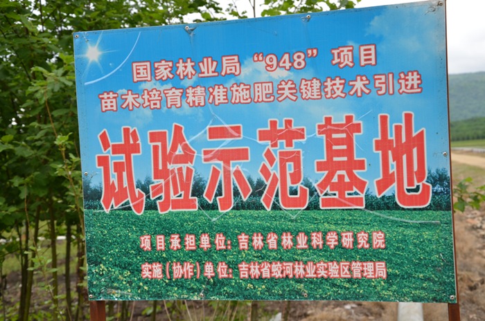 苗木培育精准施肥关键技术研究与示范